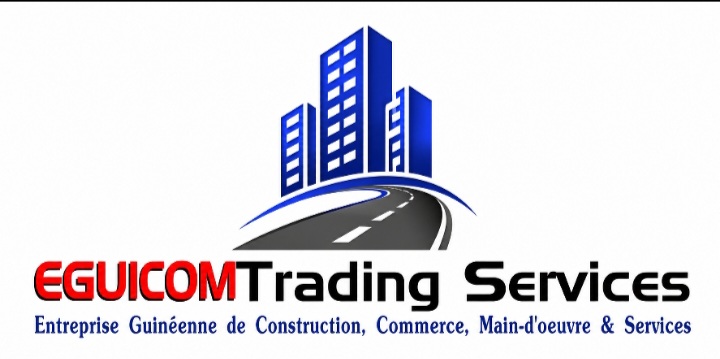 EGUICOM TRADING SERVICES
